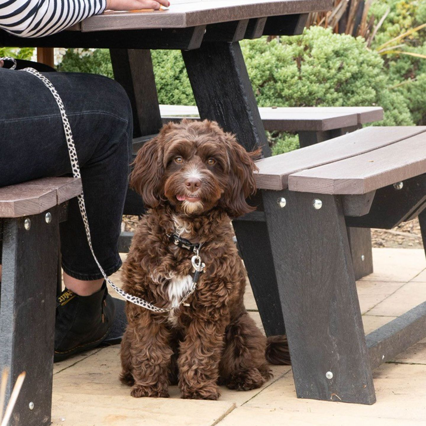 Your local dog friendly pub in Catterick Village